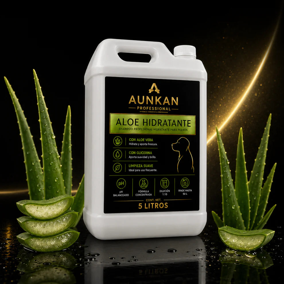 Shampoo Aunkan Aloe Hidratante
