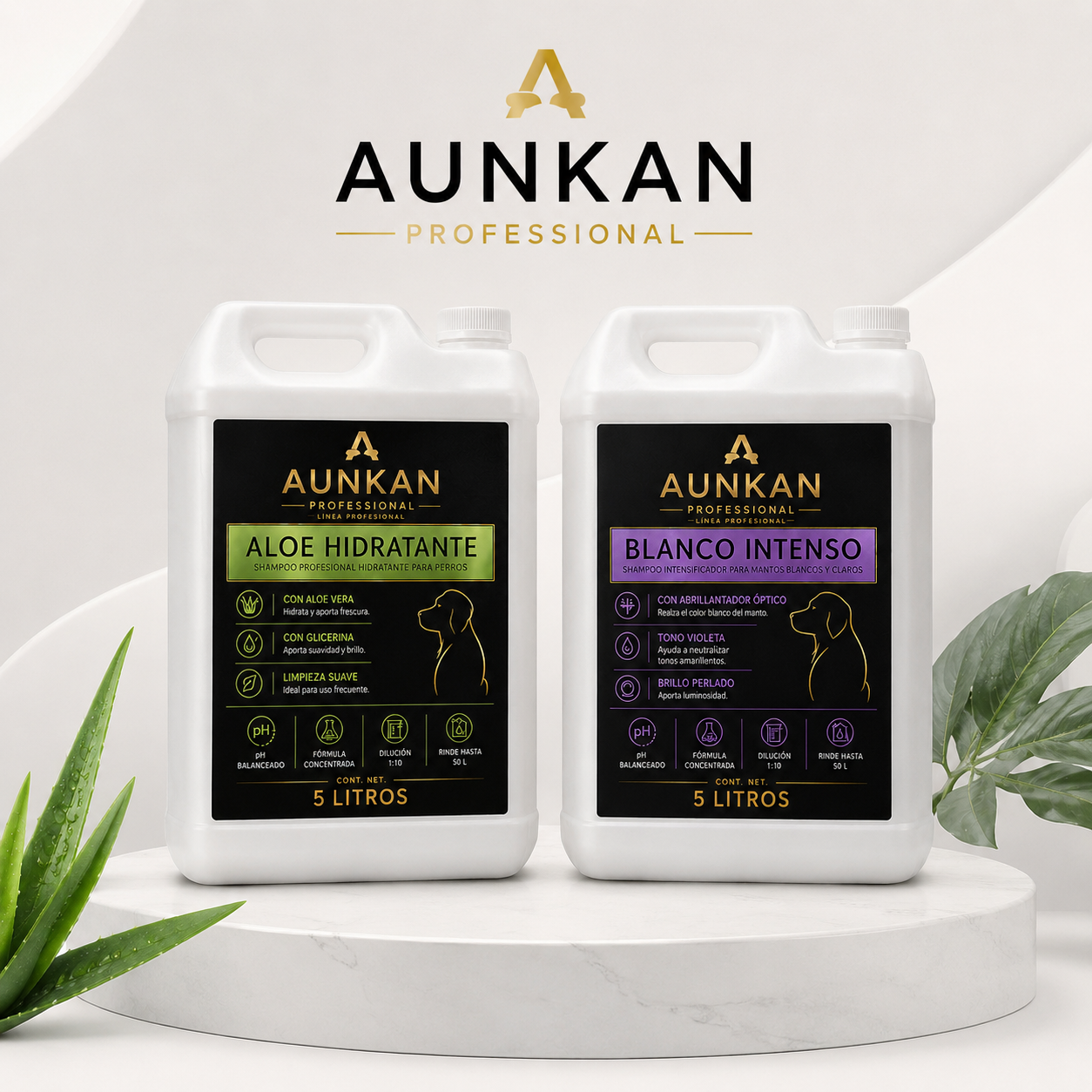 AUNKAN