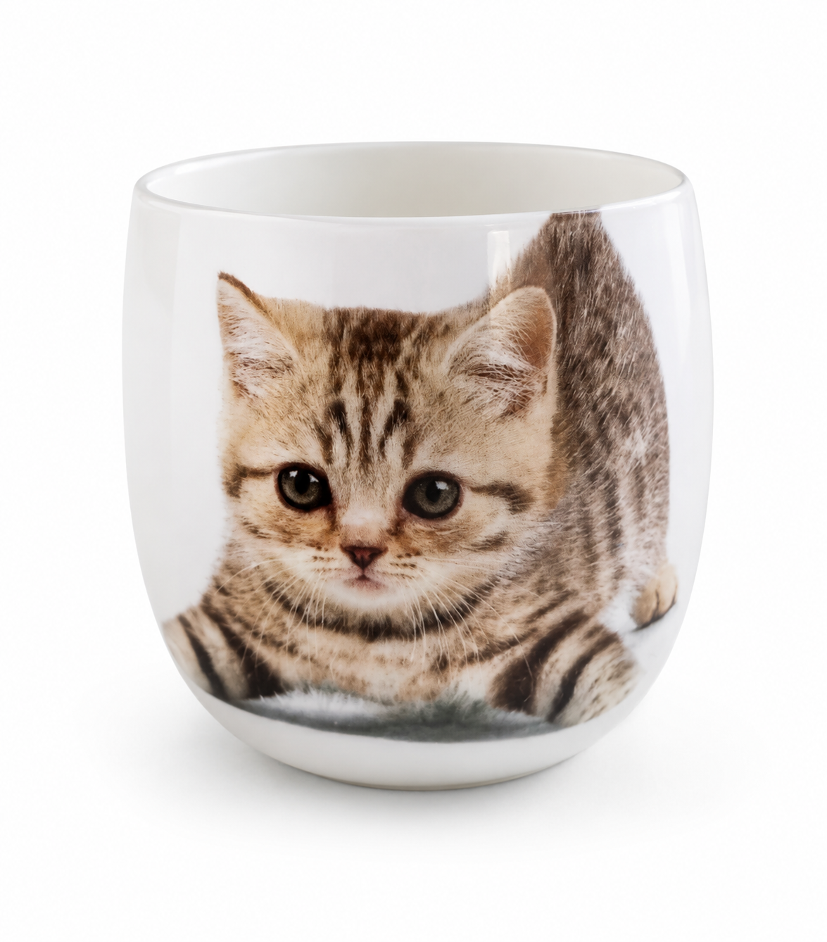 Vela Aromática para Mascotas CAT Orquídia – Neutraliza Olores