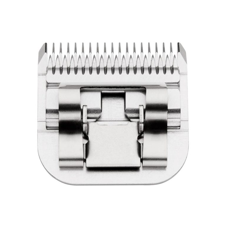 Imperio Grooming