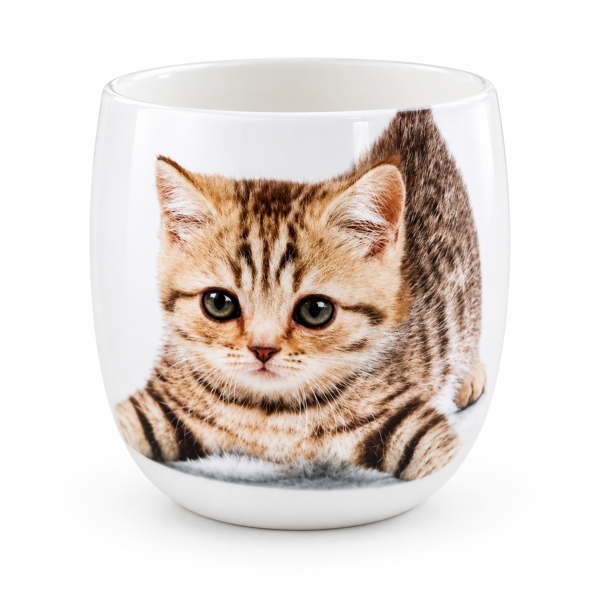 Vela Aromática para Mascotas Roura CAT Orquídea – Neutraliza Olores