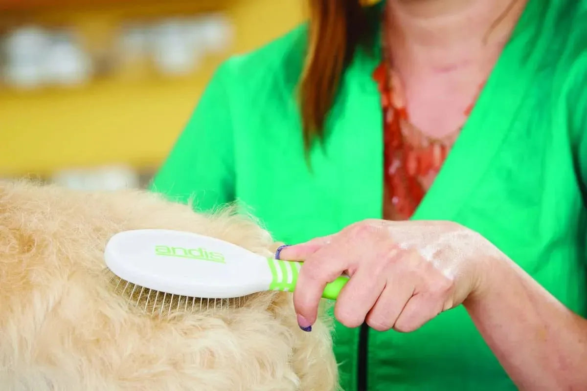 Cepillo Andis Largo - Imperio Grooming